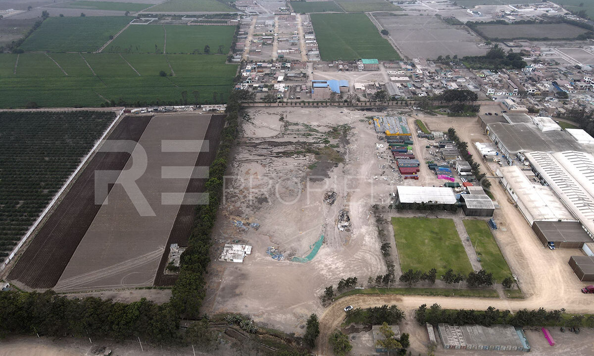 Chancay4