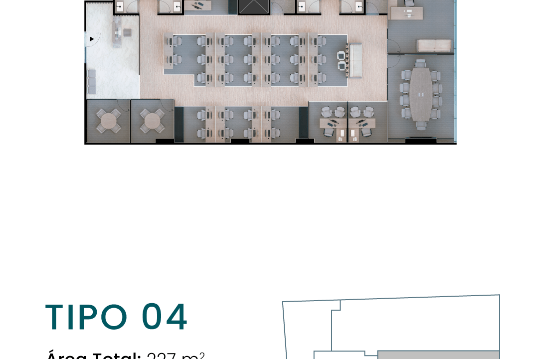 tipo 4