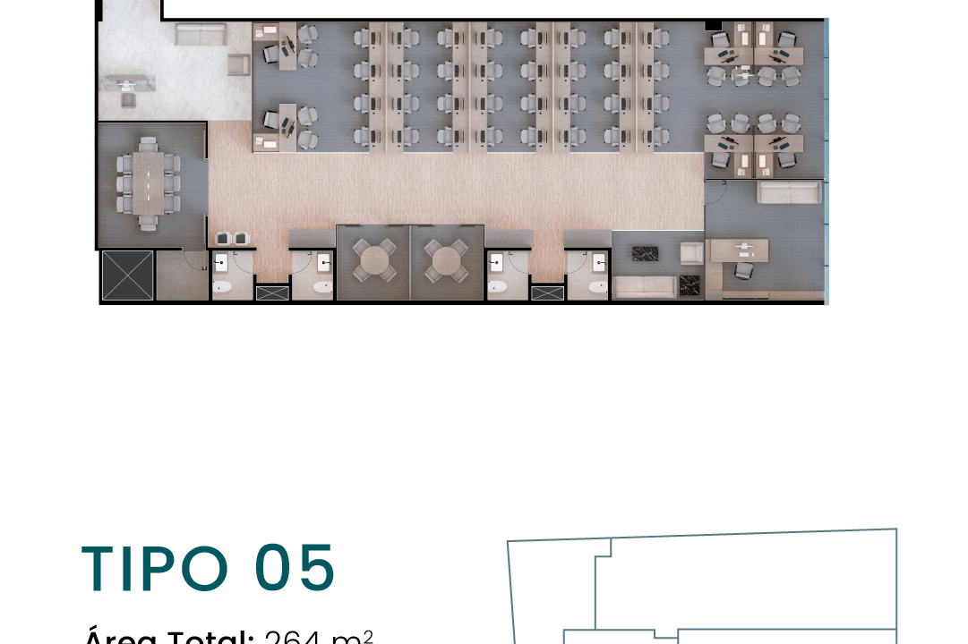 tipo 5