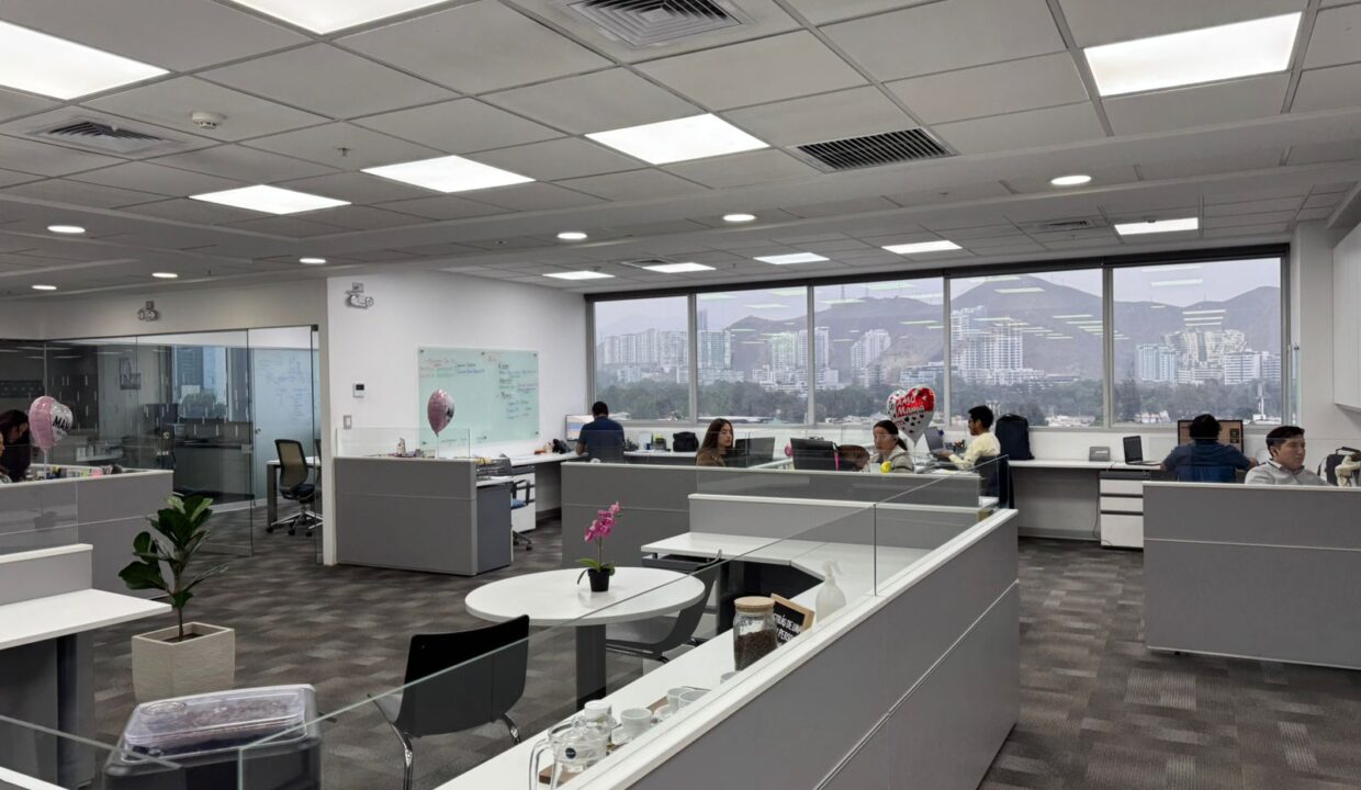 foto15 (1)